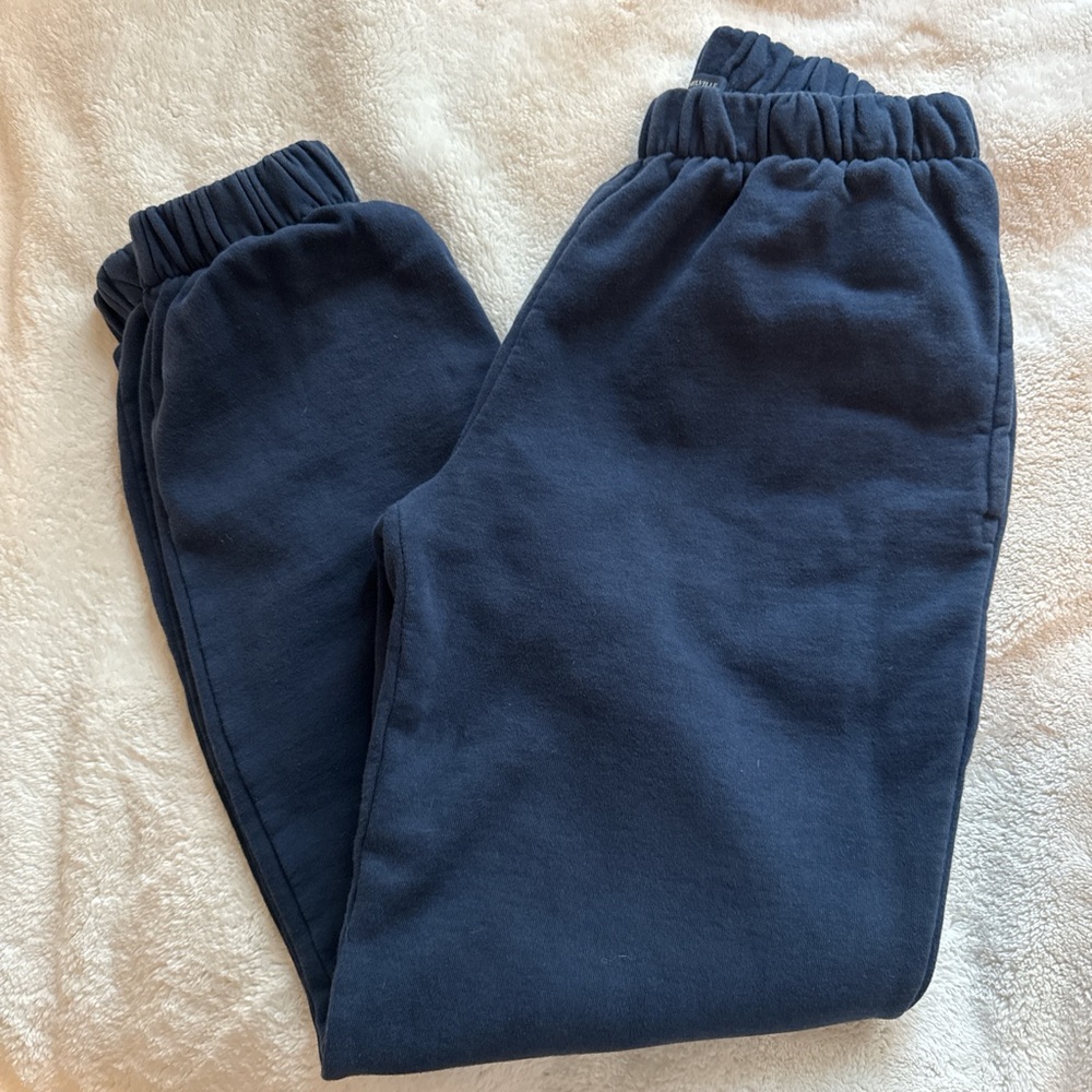 Brandy Melville  sweatpants🫐
